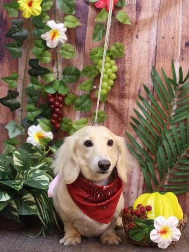 20230823シオンくん